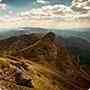 Lorem dolor